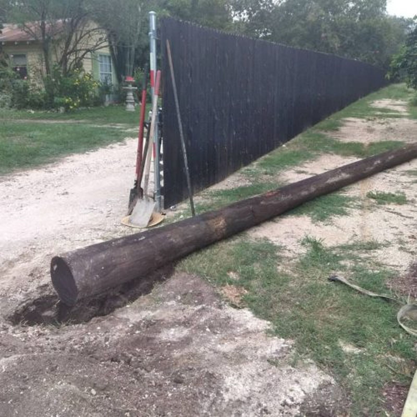 The Big Bamboo Gate